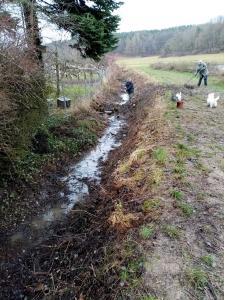 Birkach 5