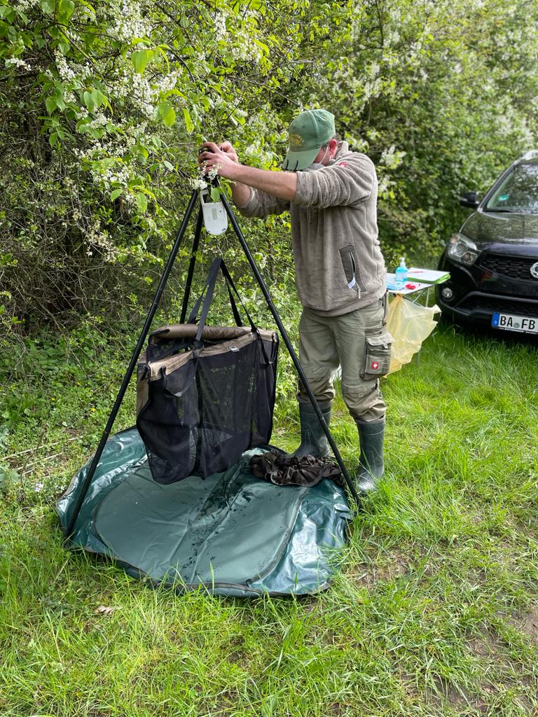 Bild 15
